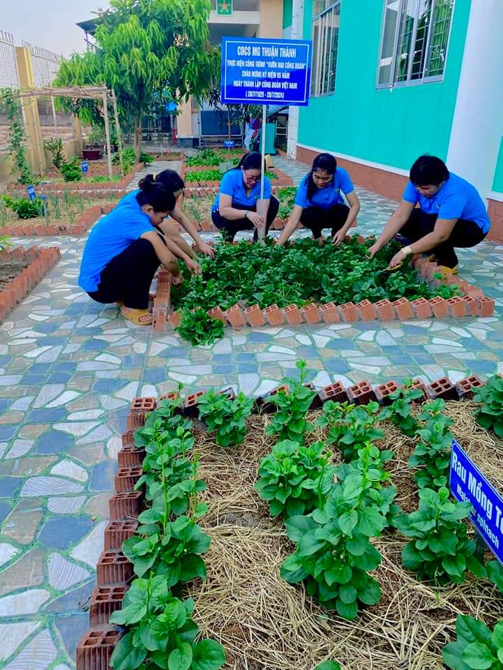 CĐCS MG Thuận Thành xây dựng mô hình "Vườn rau Công đoàn" Chào mừng kỷ niệm 95 năm ngày thành lập Công đoàn Việt Nam (28/7/1929 - 28/7/2024). Qua đó, Công đoàn viên thu hoạch được rau sạch mỗi ngày và tạo động lực để chị em yêu nghề, mến trường hơn.